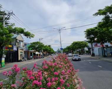 TP.Thủ Dầu Một: Phát triển đô thị theo hướng đô thị xanh, thông minh
